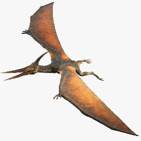 3D Pteranodon No Rig(1)